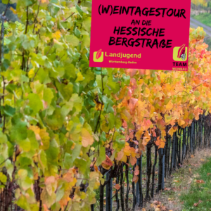 (W)eintagestour an die Hessische Bergstraße