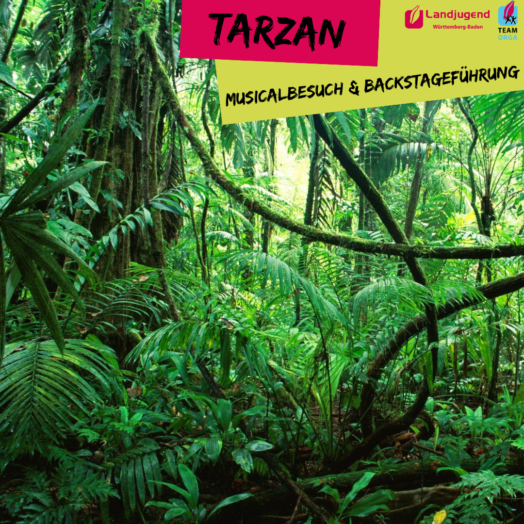 Backstageführung und Musical- Besuch Tarzan